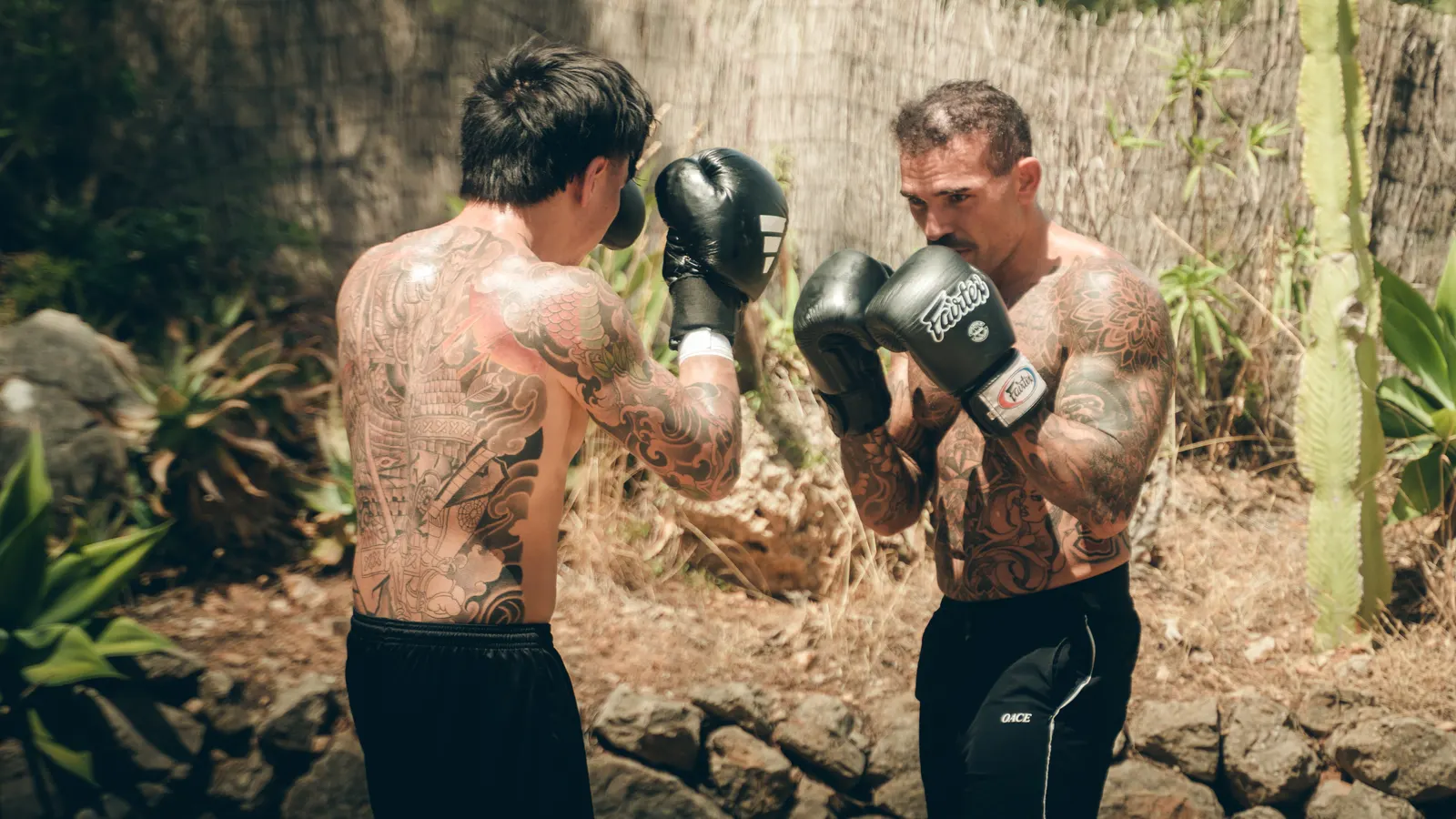 Zwei tätowierte Männer mit Boxhandschuhen beim Sparring in einem Garten auf Mallorca.